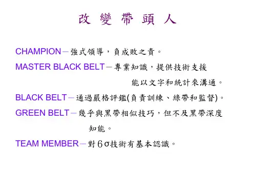 6SIGMA品质管理方法2精编版