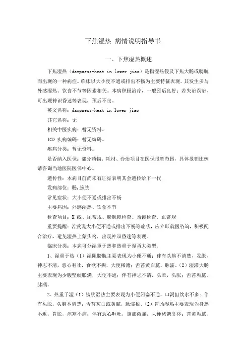 下焦湿热 病情说明指导书