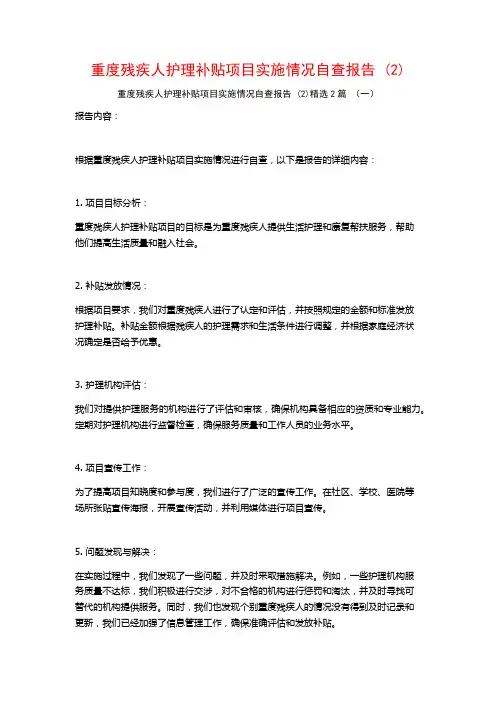 重度残疾人护理补贴项目实施情况自查报告 (2)2篇