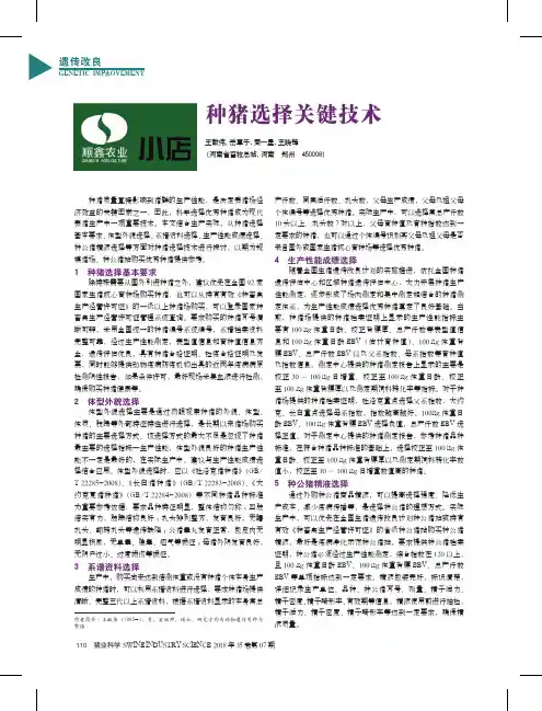 种猪选择关键技术