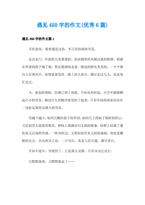 遇见450字的作文(优秀6篇)