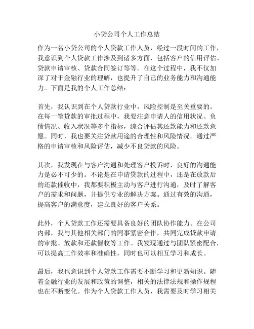 小贷公司个人工作总结