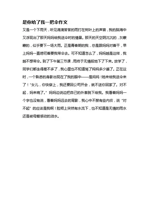 是你给了我一把伞作文