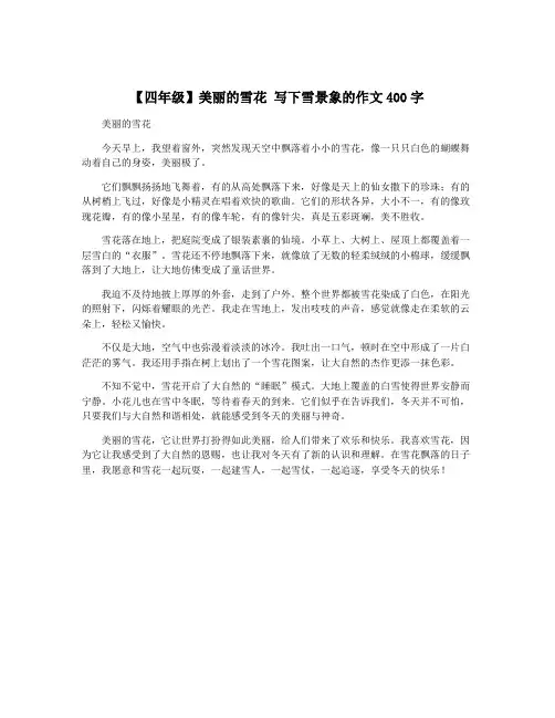 【四年级】美丽的雪花 写下雪景象的作文400字