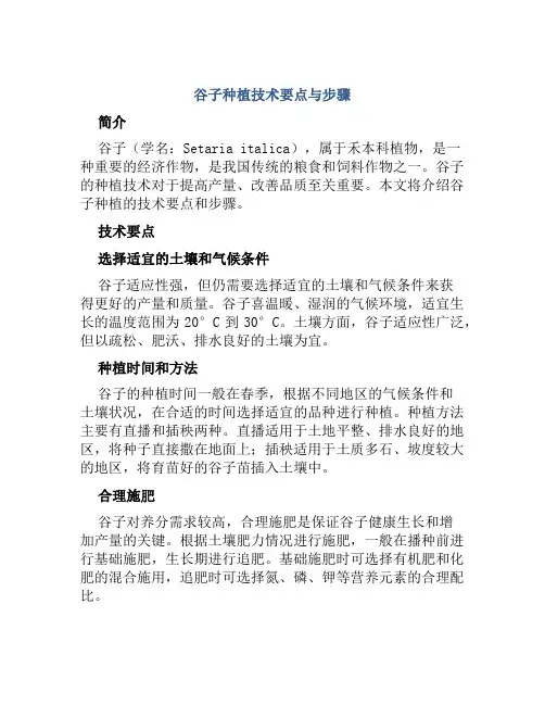 谷子种植技术要点与步骤