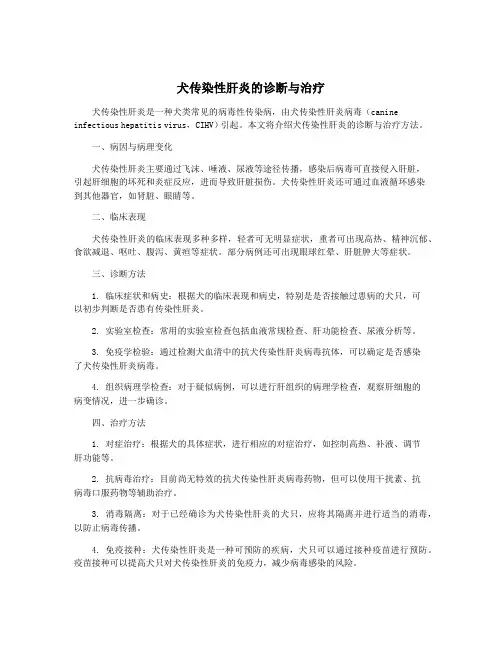 犬传染性肝炎的诊断与治疗