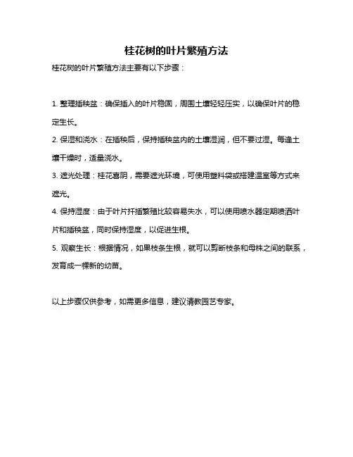 桂花树的叶片繁殖方法