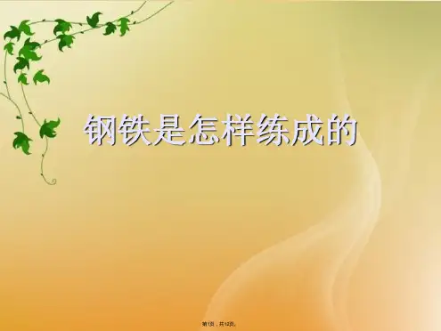 钢铁是怎样练成的(共12张PPT)