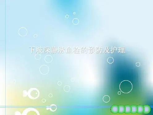 下肢深静脉血栓预防及护理