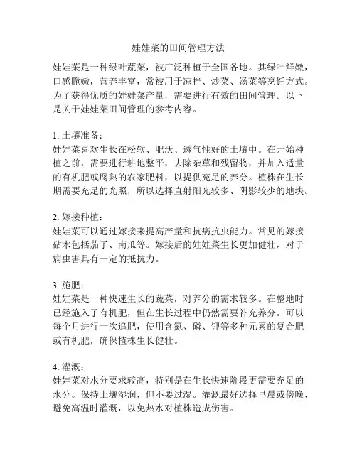 娃娃菜的田间管理方法