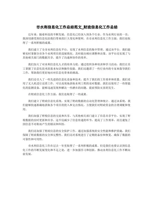 市水利信息化工作总结范文_财政信息化工作总结