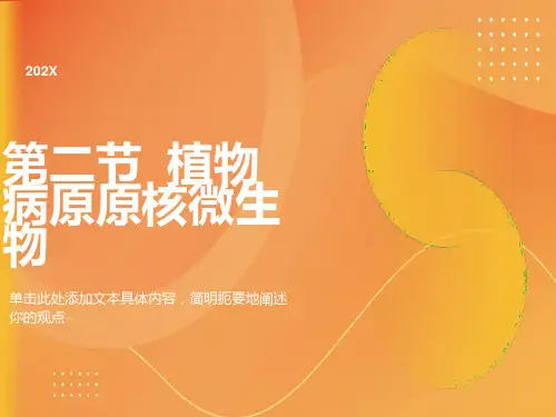 园林植物病理学第三章植物病原细菌和其它原核生物