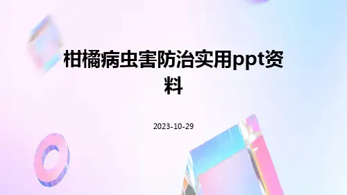 柑橘病虫害防治实用PPT资料