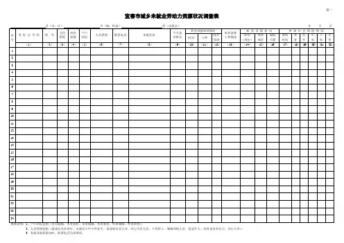 城乡劳动力资源状况调查表