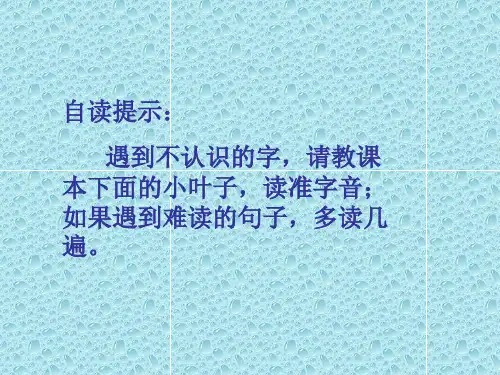 风娃娃PPT课件.ppt