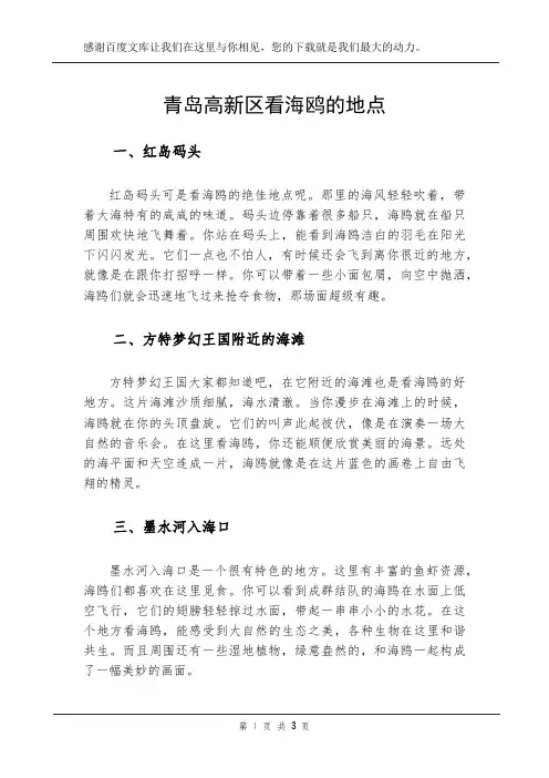 青岛高新区看海鸥的地点