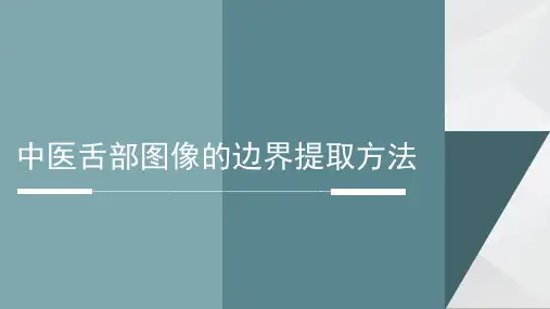 舌部图像的边界提取方法