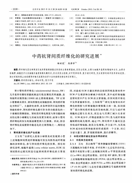 中药抗肾间质纤维化的研究进展