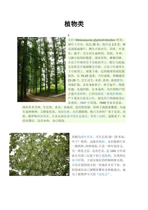 动植物分类