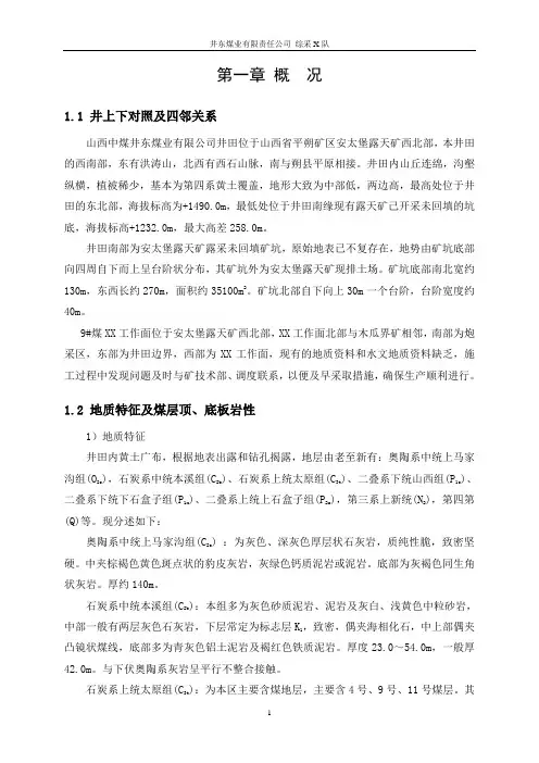XX综放工作面作业业规程(范本)