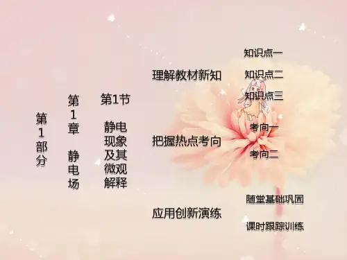 静电现象及其微观解释PPT精品课件