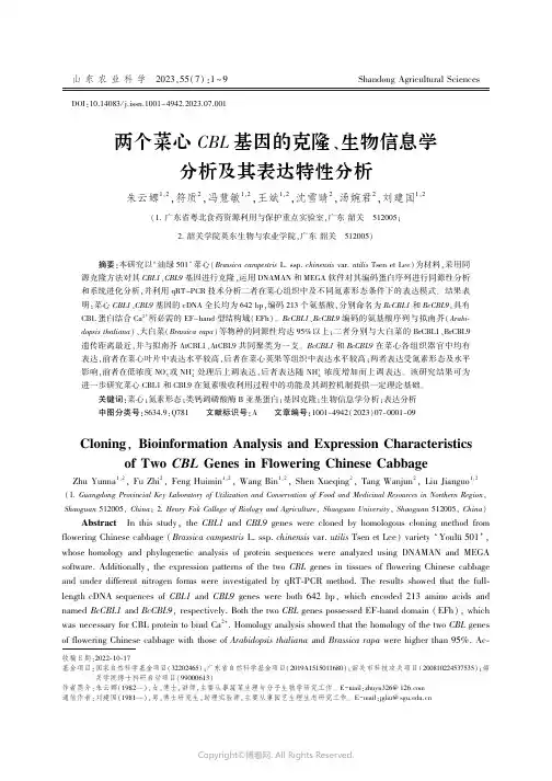 两个菜心CBL基因的克隆、生物信息学分析及其表达特性分析