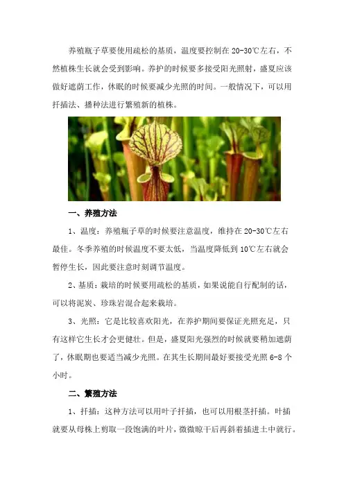 瓶子草怎么养_1