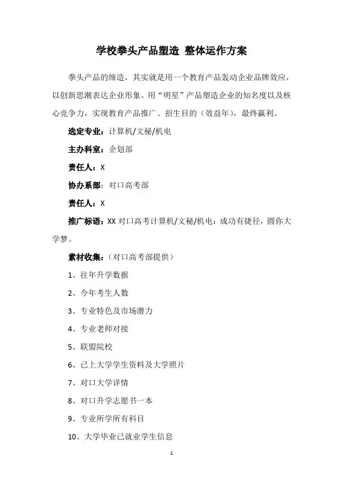 拳头产品塑造 整体运作方案