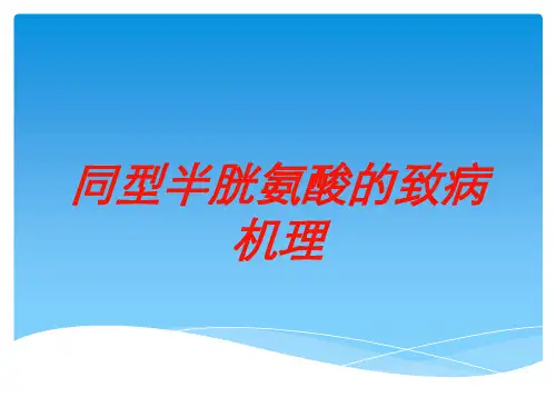 同型半胱氨酸的致病机理培训课件