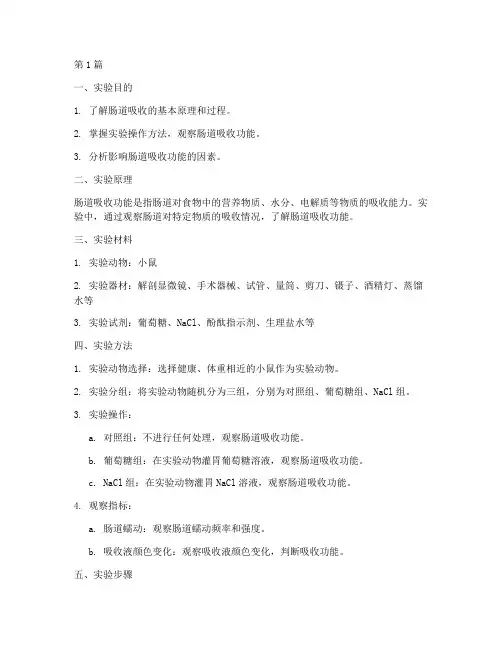 肠吸收功能实验报告(3篇)
