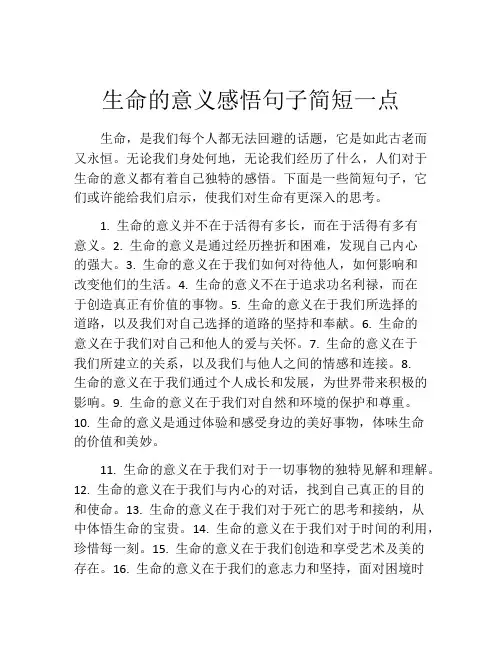 生命的意义感悟句子简短一点