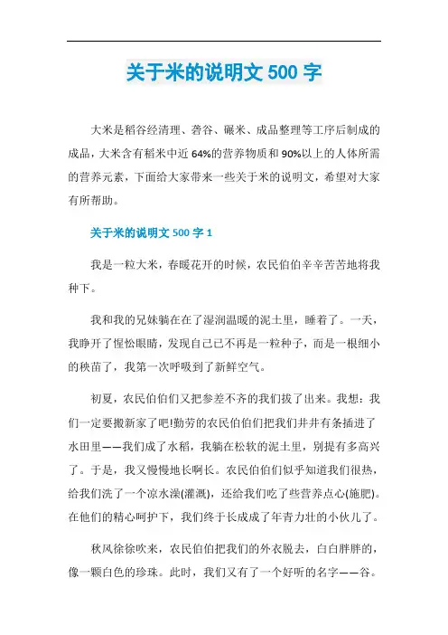 关于米的说明文500字