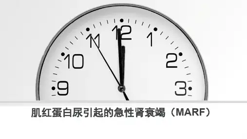 肌红蛋白尿-肌红蛋白尿引起的急性肾衰竭(MARF)---PPT精品课件
