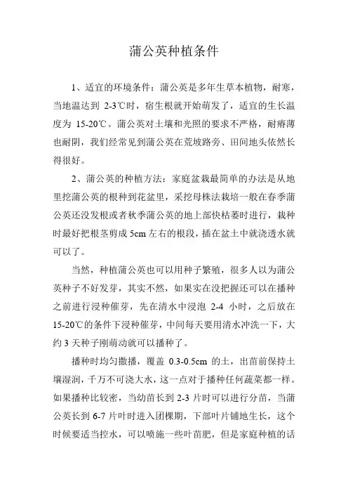 蒲公英种植条件