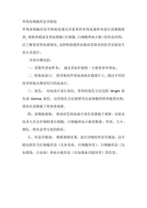外周血细胞形态学检验