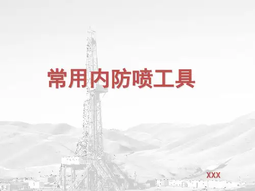 内防喷器工具