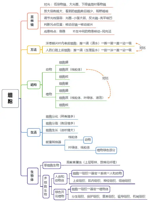 初中生物思维导图大全