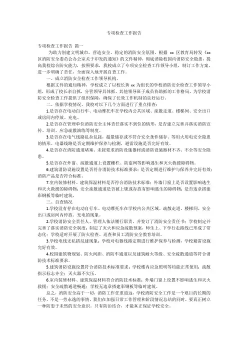 专项检查工作报告