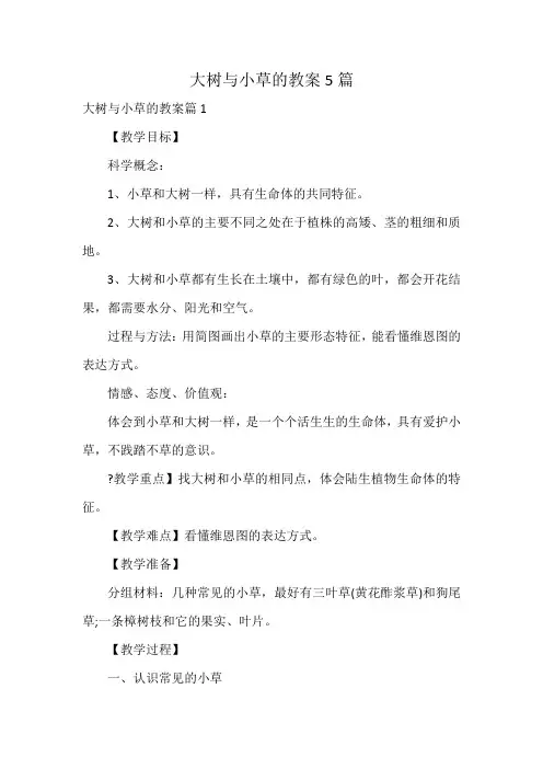 大树与小草的教案5篇