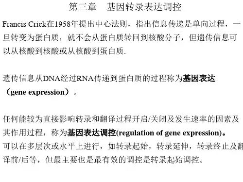 分子生物学-转录