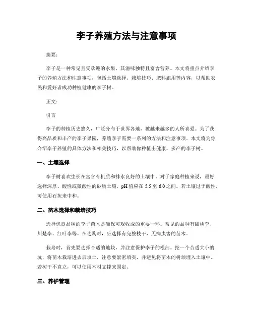 李子养殖方法与注意事项