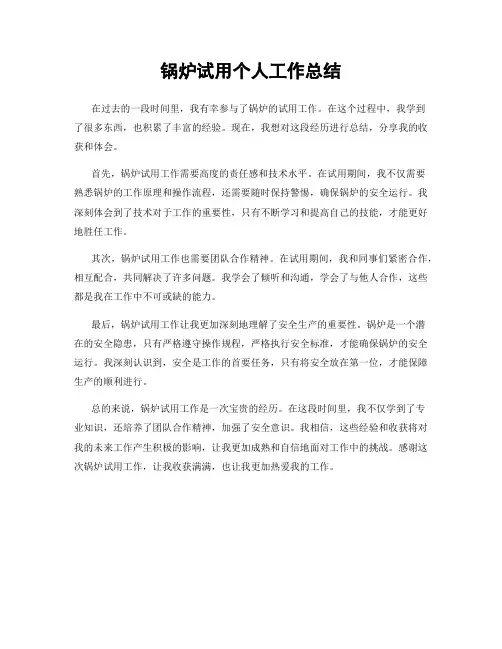 锅炉试用个人工作总结