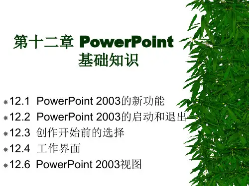 PowerPoint演示文稿课件
