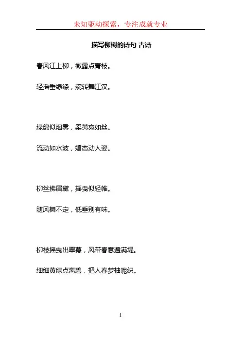 描写柳树的诗句 古诗