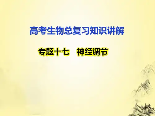 高考生物总复习知识讲解：专题17 神经调节