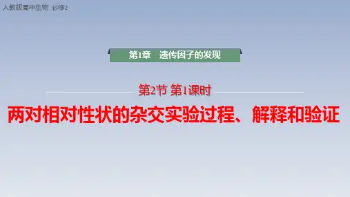 【课件】两对相对性状的杂交实验过程、解释和验证课件2022-2023学年高一下学期生物人教版必修2
