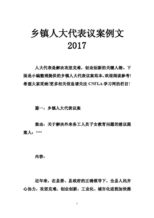 乡镇人大代表议案例文2017
