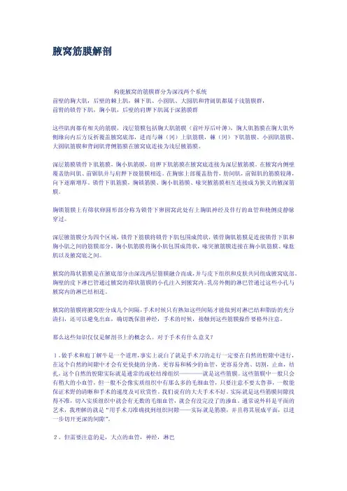 腋窝筋膜解剖