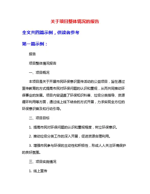 关于项目整体情况的报告