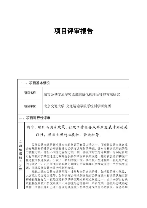 项目评审报告